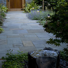 Marian Ave Yard Ideas
