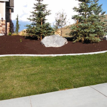 Our Work