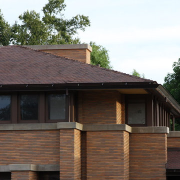 Frank Lloyd Wright's - The Darwin Martin Complex