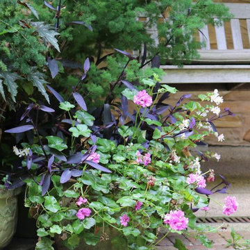 Seasonal Display