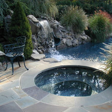 pool and backyard renovation