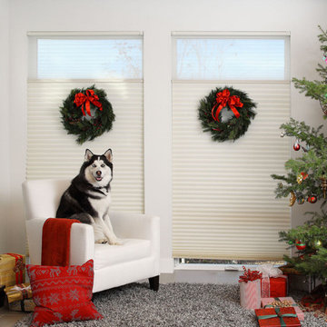 Duette Honeycomb Shades