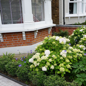 Tiny Front Garden