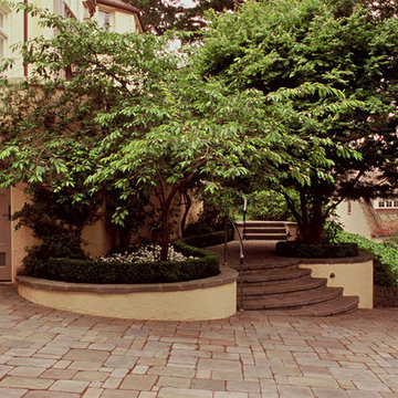 Piedmont Tudor