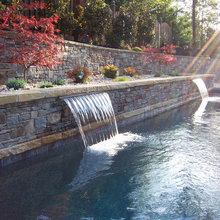 Dream backyards