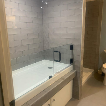 Custom Frameless Dog Bathing Station