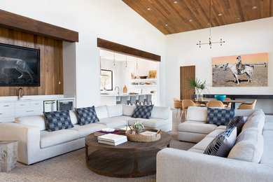 Living room - transitional living room idea in Austin