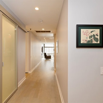 Streeterville Modern Condominium Renovation