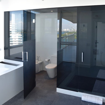 Icon Miami Beach Residence
