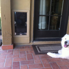 Doggie door ideas