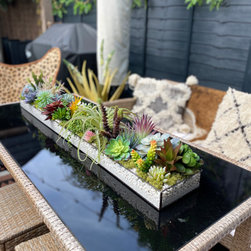 Faux Succulents Displays - Barn renovation - Plants