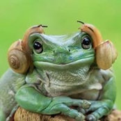 Frank Schöne's photo