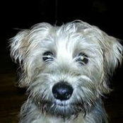 Foto von Terie Buchanan
