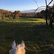 Bec Kyne's photo