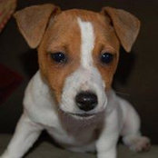 Sophie Black's photo