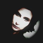 Cybil Noreika's photo