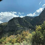 Lisa Berman-Calitri's photo