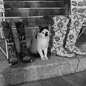 Jason Angeles's photo