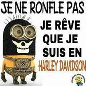 Steve Manon's photo