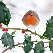 Jacqui McKenna's photo