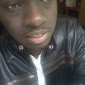 Foto von Vincent Too