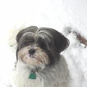 Carol Taylor's photo