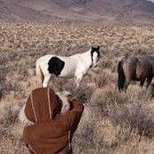 Ellen McFarland's photo
