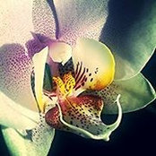Foto de Jeri Wright
