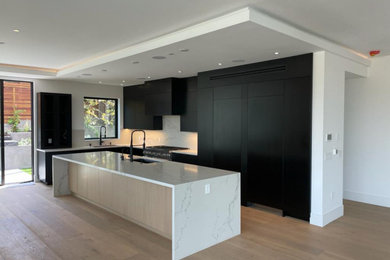 Inspiration for a modern kitchen remodel in Los Angeles