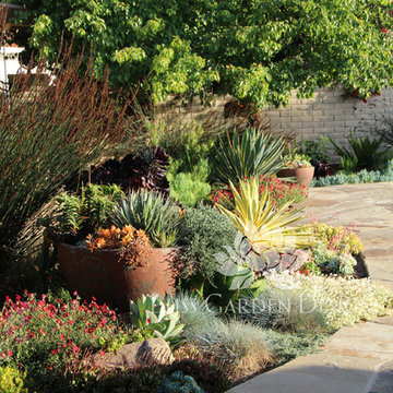 Dry Garden, Palos Verdes, CA
