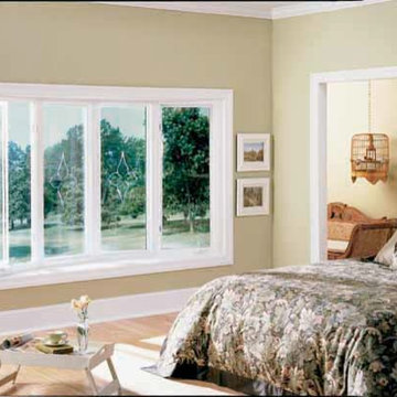 Windows & Doors