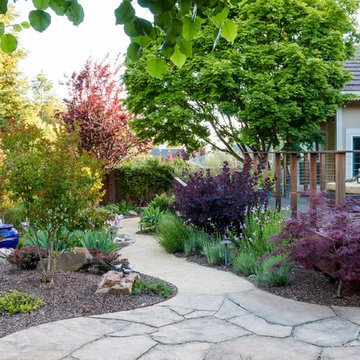 Water Wise Garden