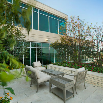 Roof top Penthouse