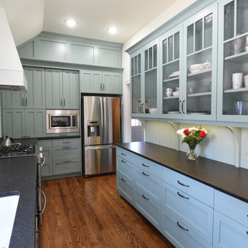 Naperville stratton blue