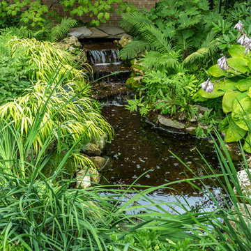 Natural Pond - Milwaukee