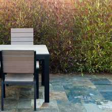 bakyard ideas