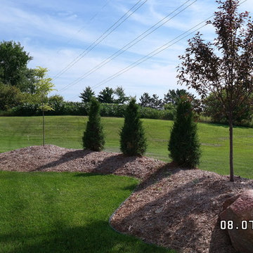 Front yard makeover