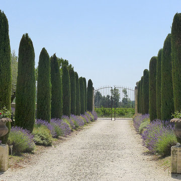 Gîte 4 personnes en Dôme Provençale