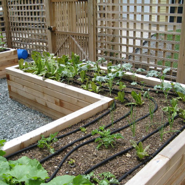 Fenced Garden