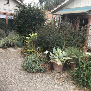 Local Nurseries