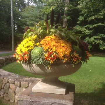 Container Gardens, Planters, Urns, Window Boxes