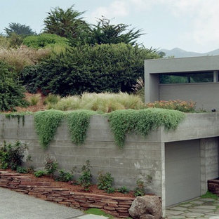 Idées déco pour un jardin sur toit contemporain avec une exposition ensoleillée.