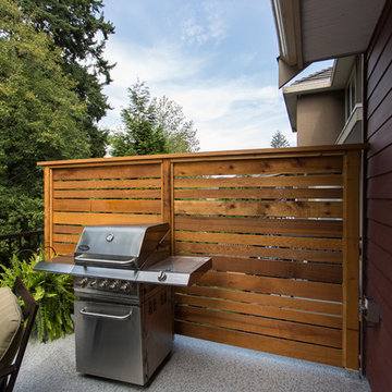 Deck and Privacy Wall