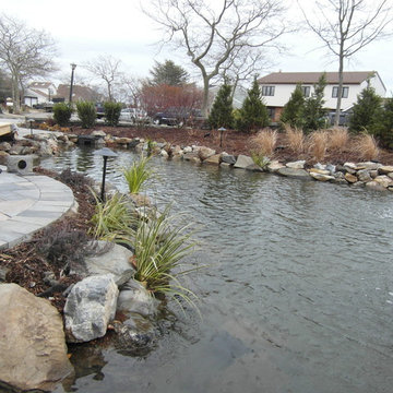 pond