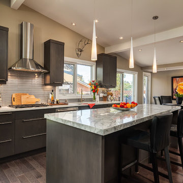 Modern Kitchen Renovation