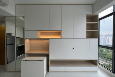 Inspiration for a modern living room remodel in Singapore