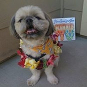 John Doronio's photo