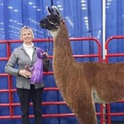 Barb Thomasma-Parsons's photo