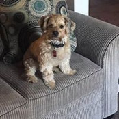Doreen Lyons-Kidd's photo