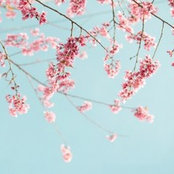 Samantha Feicks Byrne's photo